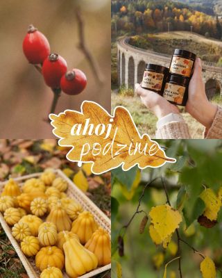 A je to tu, dnes oficiálně začíná podzim 🍁⏰✨. Čas teplých svetrů, vůně skořice, hřejivého světla svíček a barevné přírody...