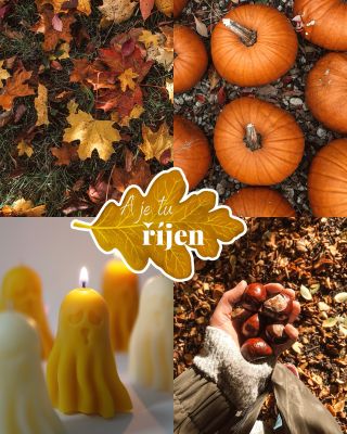 První den nového měsíce je tu a spolu s ním přichází i to pravé kouzlo barevného podzimu🧡🍂🎃. Říjen nám přináší dýně všech...