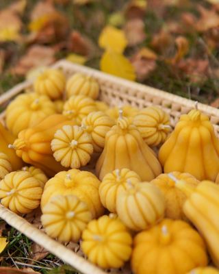 Říjen je měsíc dýní 🎃. A nejen těch, které patří do polévky nebo na zápraží, ale i těch z vosku✨🕯️- voňavých, hřejivých a...