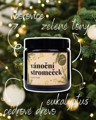 Když domů přinesete vánoční stromek✨🌲 plamínek svíčky připomene krásné vzpomínky na dětství, jako je vůně čerstvě...