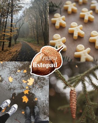 Dušičky, sv. Martin a blížící se advent. To je listopad🌙🍂. Měsíc, kdy se příroda ukládá k odpočinku a barevné listí pomalu...