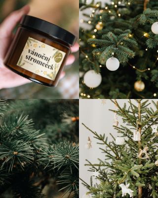 Svěží, dřevitá vůně, která je k nerozeznání od vůně živého vánočního stromečku🎄✨. Na e-shopu najdete ještě pár kusů této...