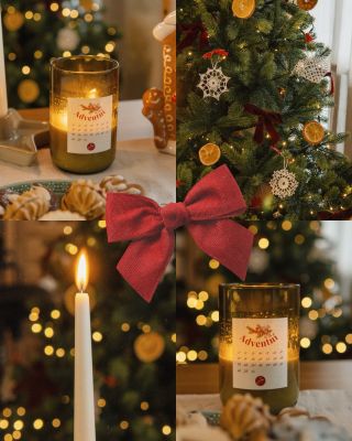 Jak si užíváte vánoční svátky?❤️✨🎄 u nás je to klasika, pohádky u nás jedou skoro celý den, cukroví už konečně ubývá😁,...