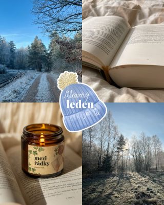 Leden je měsíc ticha a odpočinku. Měsíc, kdy není kam spěchat. Ideální čas na knížku, kterou jste našli pod 🎄, nebo na...